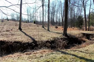 102 Marble Dr, Peters Township, PA 15317 - Photo 36