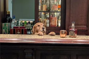 280 Sienna Trail, Peters Township, PA 15367 - Photo 30