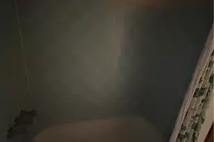 338 Taylor St, Pittsburgh, PA 15224 - Photo 26