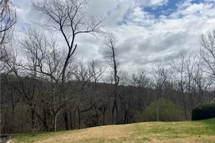 717 Greenock Buena Vista Rd, Elizabeth Twp/Boro, PA 15047 - Photo 46