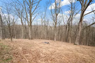 3649 Logan Ferry Rd, Murrysville, PA 15668 - Photo 22