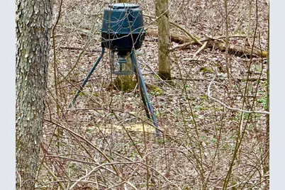 382 Hosack Rd, Jackson Township, PA 16133 - Photo 22