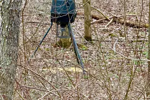 382 Hosack Rd, Jackson Township, PA 16133 - Photo 22