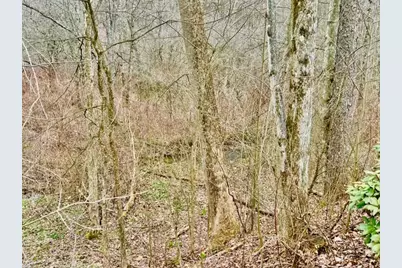 382 Hosack Rd, Jackson Township, PA 16133 - Photo 26