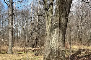 4905 Old Rte 422, Slippery Rock, PA 16101 - Photo 12