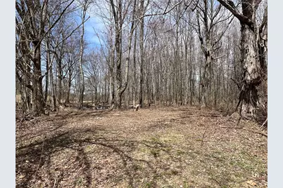 4905 Old Route 422, Slippery Rock, PA 16101 - Photo 6