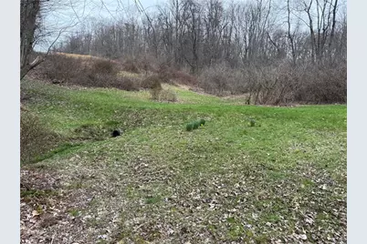 0 Saxonburg Road, Summit Township, PA 16002 - Photo 12