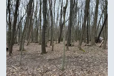 0 Saxonburg Road, Summit Township, PA 16002 - Photo 4