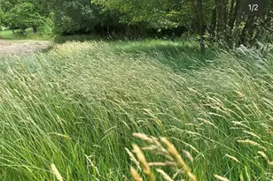 280 Fayette City Rd, Fayette City, PA 15473 - Photo 26