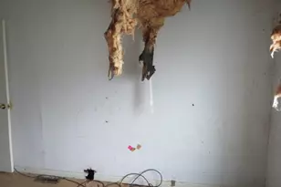 2888 Cherry St, Bethel Park, PA 15102 - Photo 20