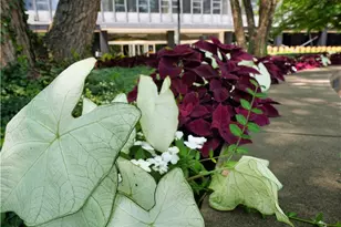 112 Washington Pl, Pittsburgh, PA 15219 - Photo 44