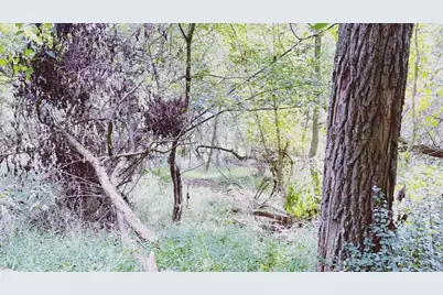 636 Clifton Road, Bethel Park, PA 15102 - Photo 26