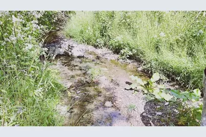 636 Clifton Road, Bethel Park, PA 15102 - Photo 28