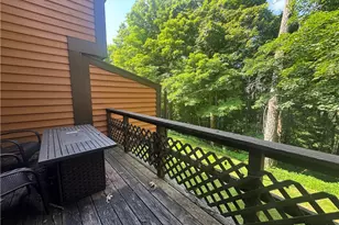60 Swiss Mountain Dr, Seven Springs, PA 15622 - Photo 34