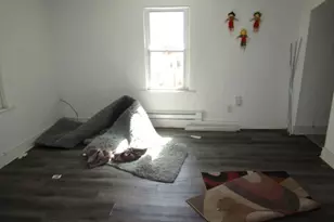 215 Anthony St, Pittsburgh, PA 15210 - Photo 32