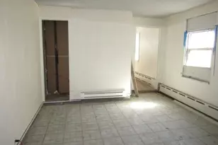 215 Anthony St, Pittsburgh, PA 15210 - Photo 8