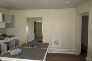 215 Anthony St, Pittsburgh, PA 15210 - Photo 20