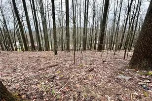 85 Hillcrest Dr, Shelocta, PA 15701 - Photo 22