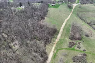 96 Vance Dr, Cross Creek Township, PA 15021 - Photo 46