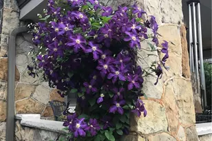 114 Carnegie Pl, Pittsburgh, PA 15208 - Photo 40