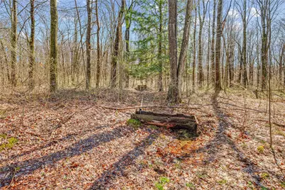 0 Aukerman Rd, Donegal, PA 15687 - Photo 12