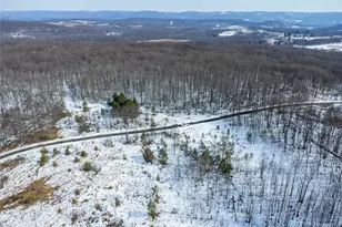 660 Clinton Ln, Bullskin Township, PA 15490 - Photo 6