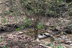 156 Desko Rd, German Township, PA 15458 - Photo 12