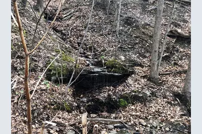 156 Desko Road, German Township, PA 15458 - Photo 42