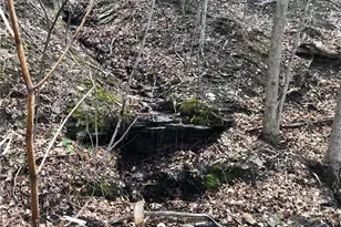 156 Desko Rd, German Township, PA 15458 - Photo 42