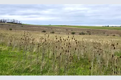 0 Cherry Church Run Rd, Sligo, PA 16255 - Photo 8