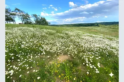 0 Cherry Church Run Rd, Sligo, PA 16255 - Photo 12