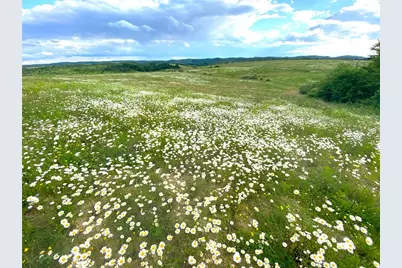 0 Cherry Church Run Rd, Sligo, PA 16255 - Photo 1