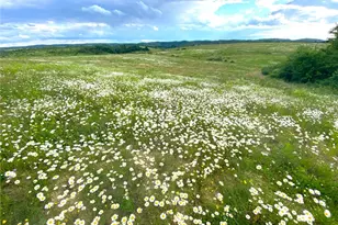 0 Cherry Church Run Rd, Sligo, PA 16255 - Photo 1