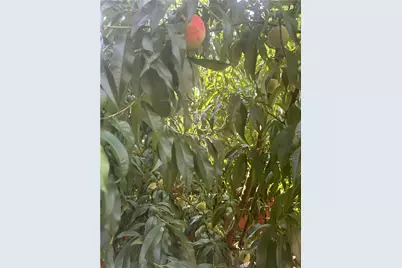 4739 Friendship Ave, Friendship Park, PA 15224 - Photo 40