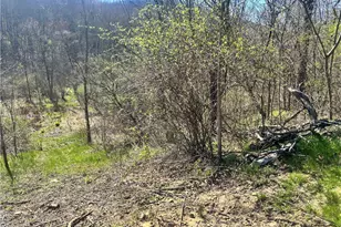 283 McClain Rd, Chippewa Township, PA 15010 - Photo 1