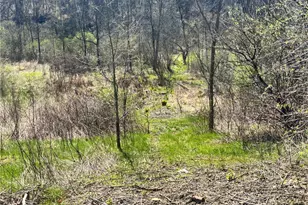 283 McClain Rd, Chippewa Township, PA 15010 - Photo 2