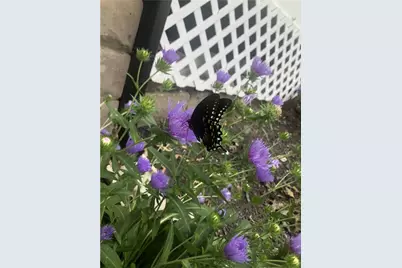 302 Duff Rd, Pittsburgh, PA 15235 - Photo 38