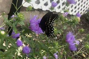 302 Duff Rd, Pittsburgh, PA 15235 - Photo 38