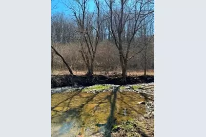 0 Brush Run, Blaine Township, PA 15312 - Photo 4