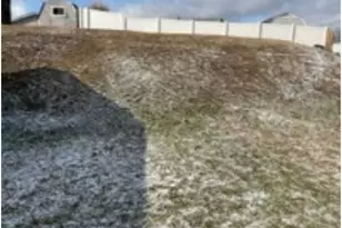 117 Delrose Dr, Liberty Boro, PA 15133 - Photo 2