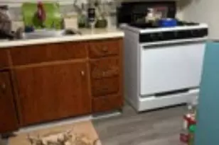 117 Delrose Dr, Liberty Boro, PA 15133 - Photo 4