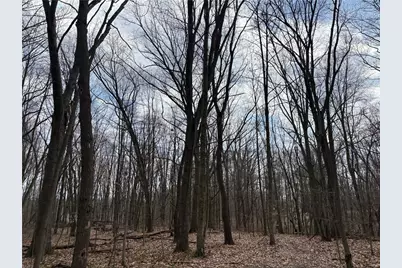 0 Orangeville Road, Sharpsville, PA 15853 - Photo 4