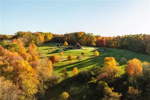 229 Hardwood Rd, Clearfield Township, PA 16034 - Photo 22