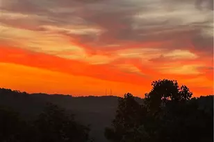 836 Forest Oaks Trail, North Huntingdon, PA 15642 - Photo 36