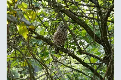 143 Gracie Lane, Adams Township, PA 16046 - Photo 46