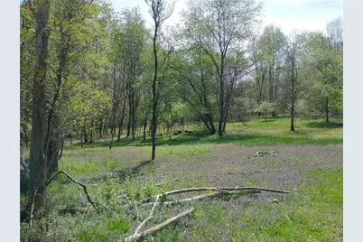 143 Gracie Lane, Adams Township, PA 16046 - Photo 32