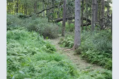 143 Gracie Lane, Adams Township, PA 16046 - Photo 28