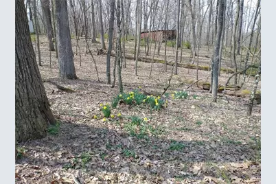 143 Gracie Lane, Adams Township, PA 16046 - Photo 20