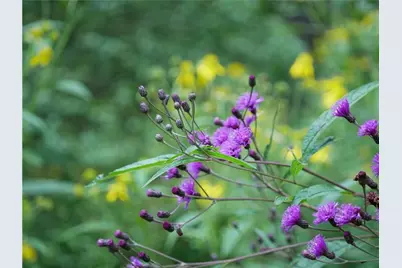 143 Gracie Lane, Adams Township, PA 16046 - Photo 2