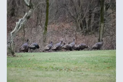 143 Gracie Lane, Adams Township, PA 16046 - Photo 30